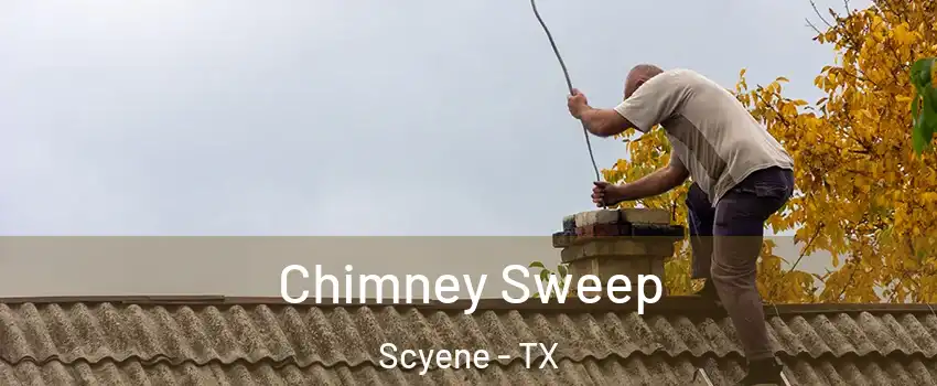 Chimney Sweep Scyene - TX