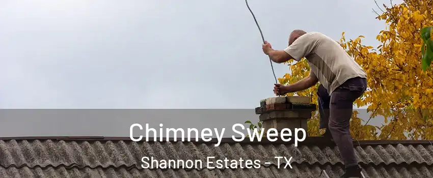 Chimney Sweep Shannon Estates - TX