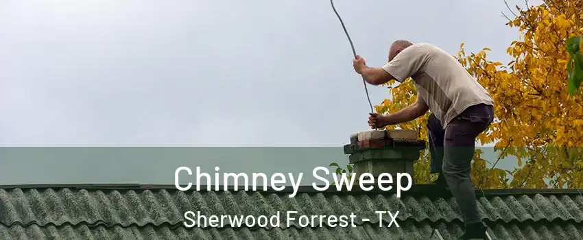 Chimney Sweep Sherwood Forrest - TX