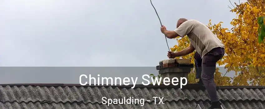 Chimney Sweep Spaulding - TX
