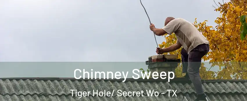Chimney Sweep Tiger Hole/ Secret Wo - TX
