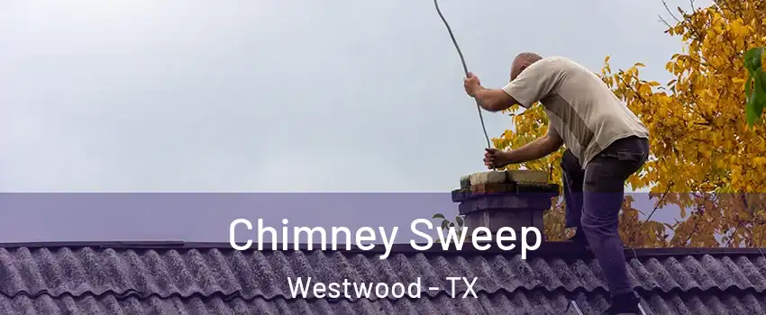 Chimney Sweep Westwood - TX