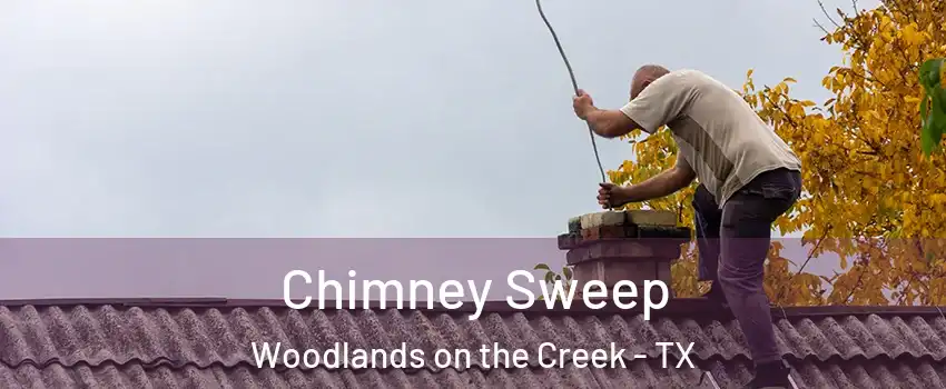Chimney Sweep Woodlands on the Creek - TX