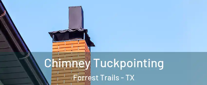 Chimney Tuckpointing Forrest Trails - TX