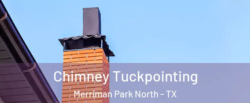 Chimney Tuckpointing Merriman Park North - TX