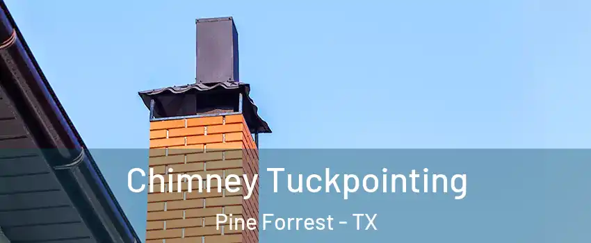 Chimney Tuckpointing Pine Forrest - TX