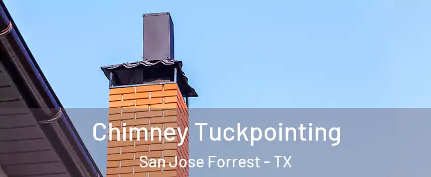 Chimney Tuckpointing San Jose Forrest - TX