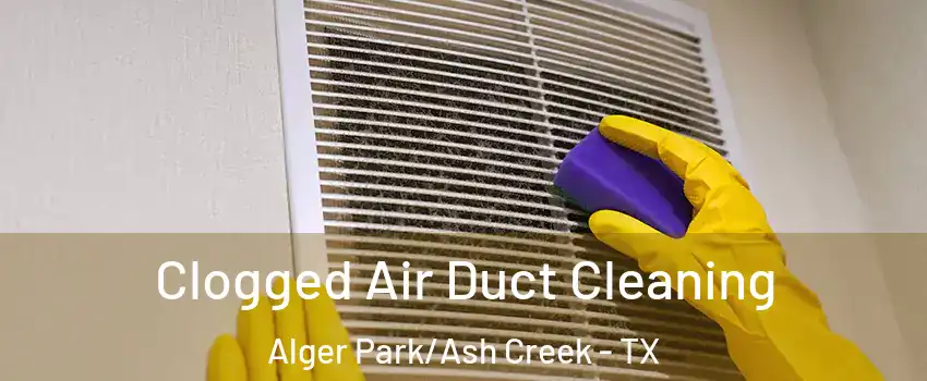 Clogged Air Duct Cleaning Alger Park/Ash Creek - TX