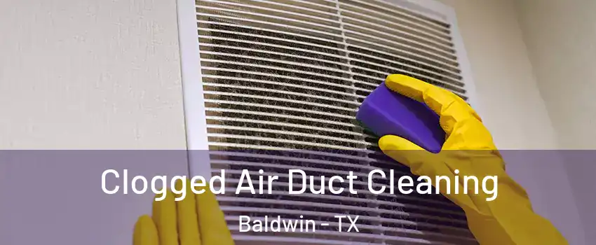 Clogged Air Duct Cleaning Baldwin - TX