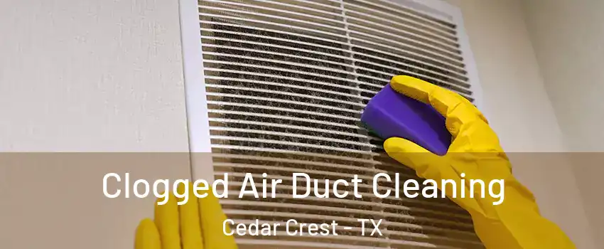 Clogged Air Duct Cleaning Cedar Crest - TX