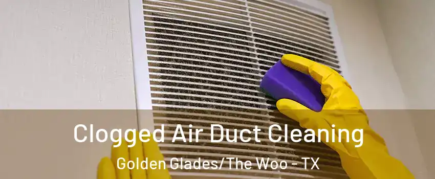 Clogged Air Duct Cleaning Golden Glades/The Woo - TX