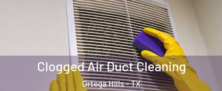 Clogged Air Duct Cleaning Ortega Hills - TX