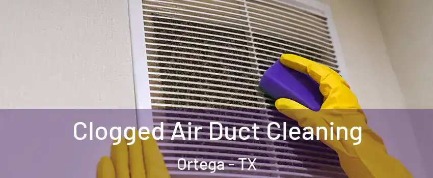Clogged Air Duct Cleaning Ortega - TX
