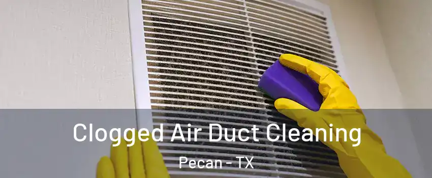 Clogged Air Duct Cleaning Pecan - TX
