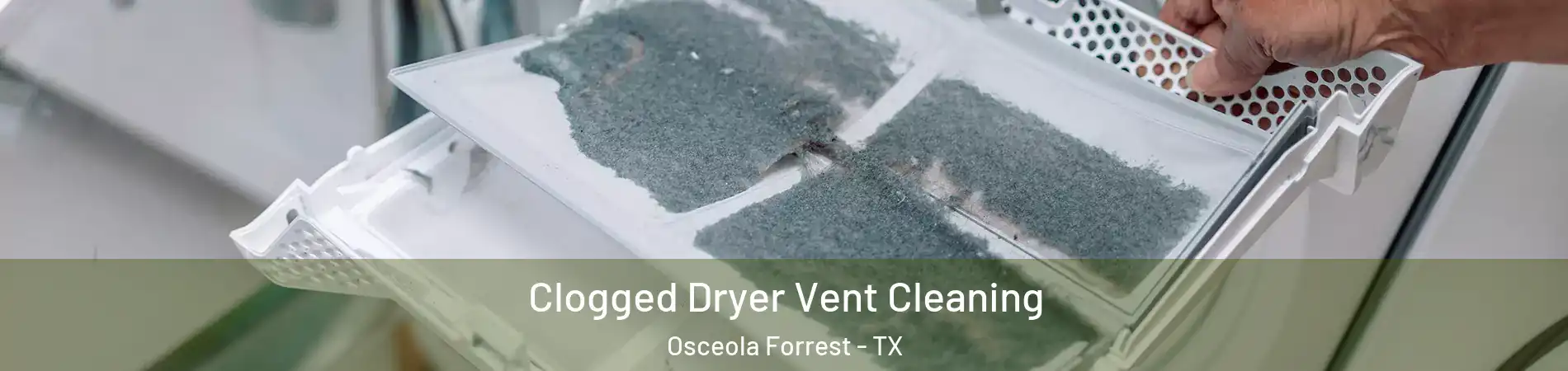 Clogged Dryer Vent Cleaning Osceola Forrest - TX