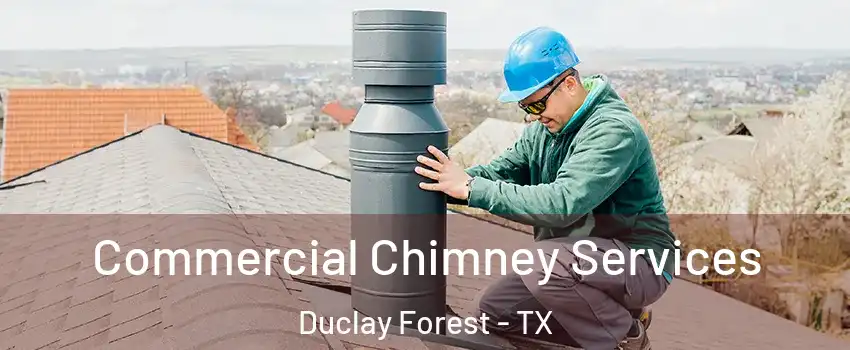 Commercial Chimney Services Duclay Forest - TX