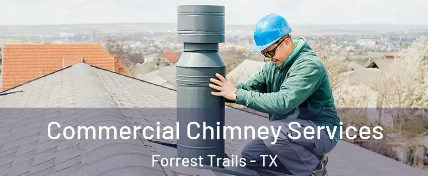 Commercial Chimney Services Forrest Trails - TX