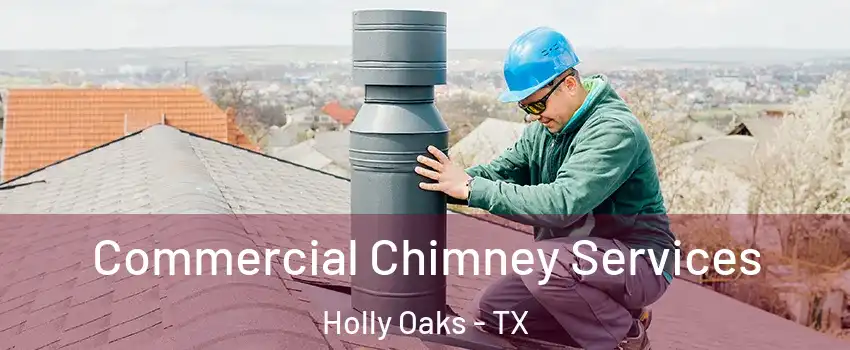 Commercial Chimney Services Holly Oaks - TX