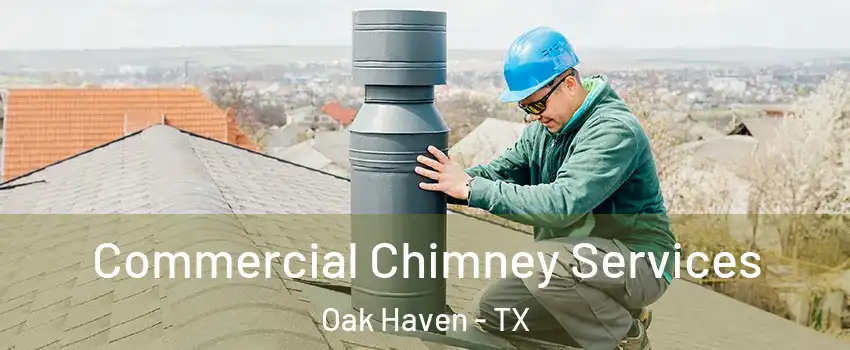 Commercial Chimney Services Oak Haven - TX