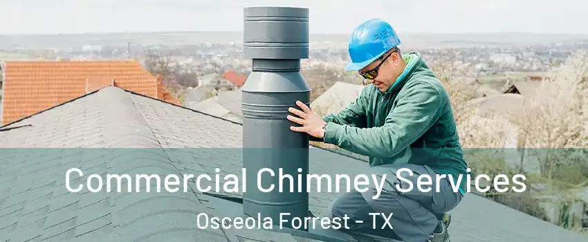Commercial Chimney Services Osceola Forrest - TX