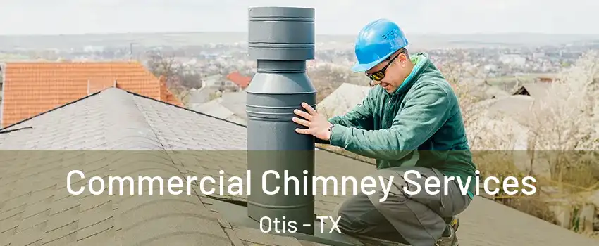 Commercial Chimney Services Otis - TX