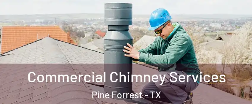 Commercial Chimney Services Pine Forrest - TX