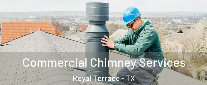 Commercial Chimney Services Royal Terrace - TX