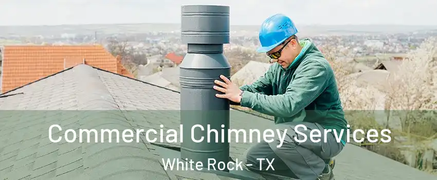 Commercial Chimney Services White Rock - TX