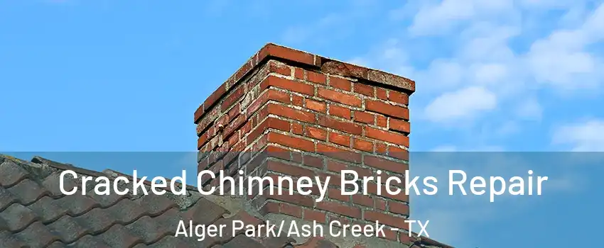 Cracked Chimney Bricks Repair Alger Park/Ash Creek - TX