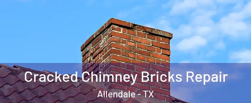 Cracked Chimney Bricks Repair Allendale - TX