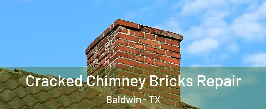 Cracked Chimney Bricks Repair Baldwin - TX