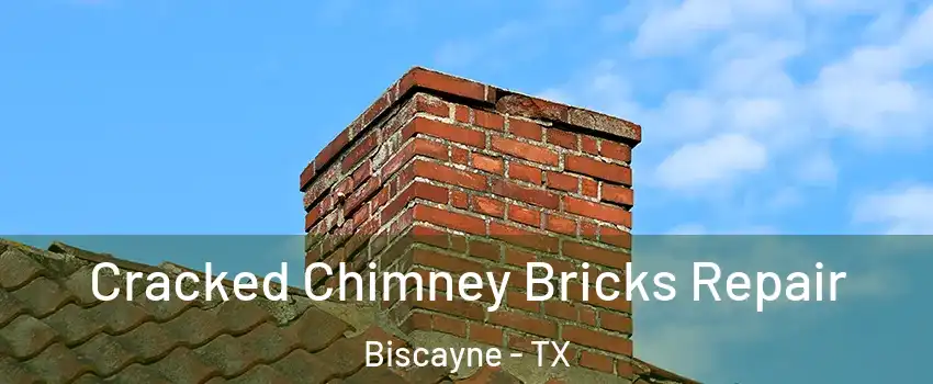 Cracked Chimney Bricks Repair Biscayne - TX