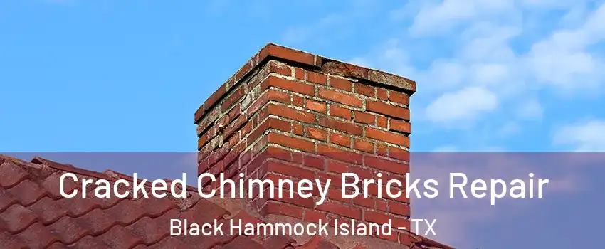 Cracked Chimney Bricks Repair Black Hammock Island - TX