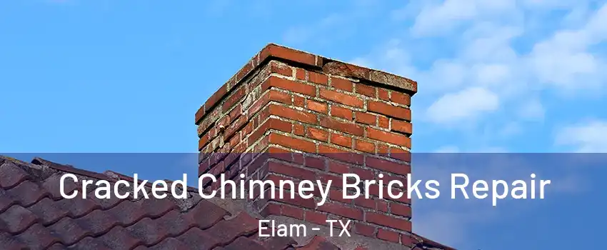 Cracked Chimney Bricks Repair Elam - TX