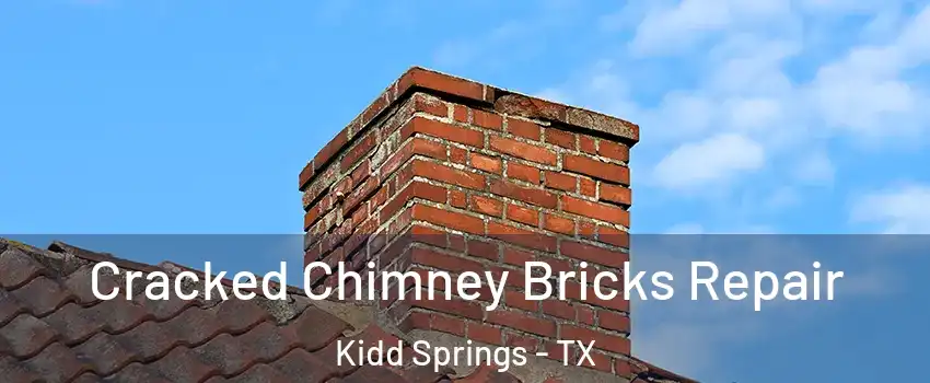 Cracked Chimney Bricks Repair Kidd Springs - TX