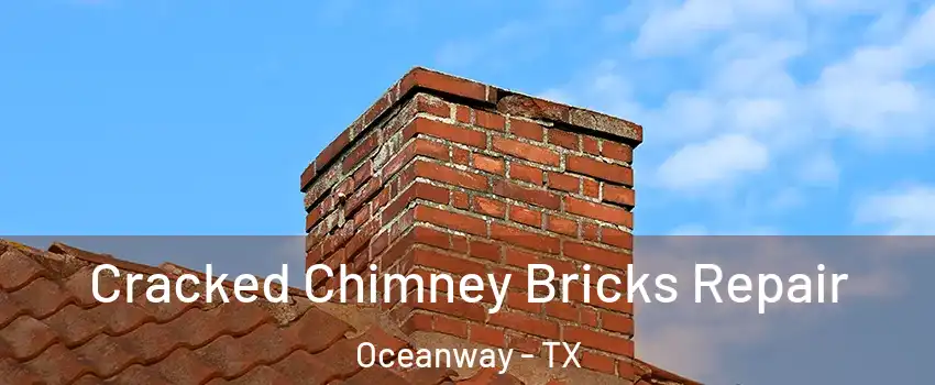 Cracked Chimney Bricks Repair Oceanway - TX