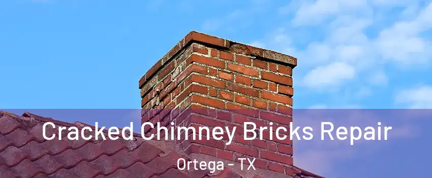 Cracked Chimney Bricks Repair Ortega - TX