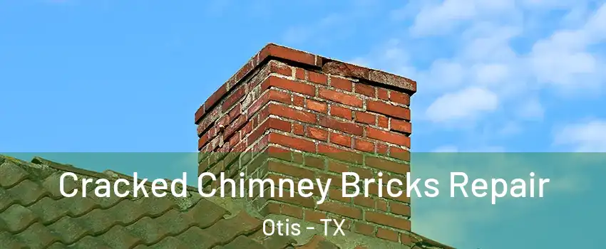 Cracked Chimney Bricks Repair Otis - TX
