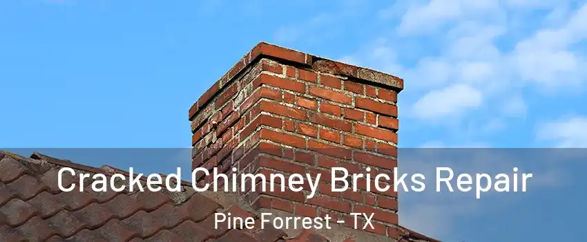 Cracked Chimney Bricks Repair Pine Forrest - TX