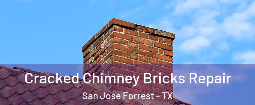 Cracked Chimney Bricks Repair San Jose Forrest - TX