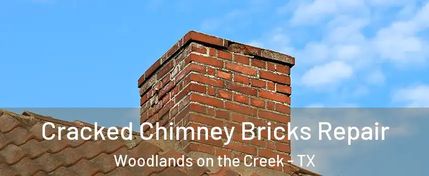 Cracked Chimney Bricks Repair Woodlands on the Creek - TX