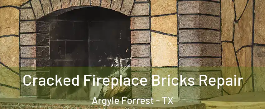 Cracked Fireplace Bricks Repair Argyle Forrest - TX