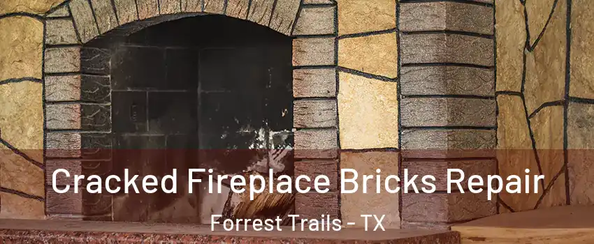 Cracked Fireplace Bricks Repair Forrest Trails - TX