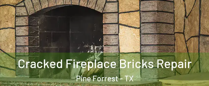 Cracked Fireplace Bricks Repair Pine Forrest - TX