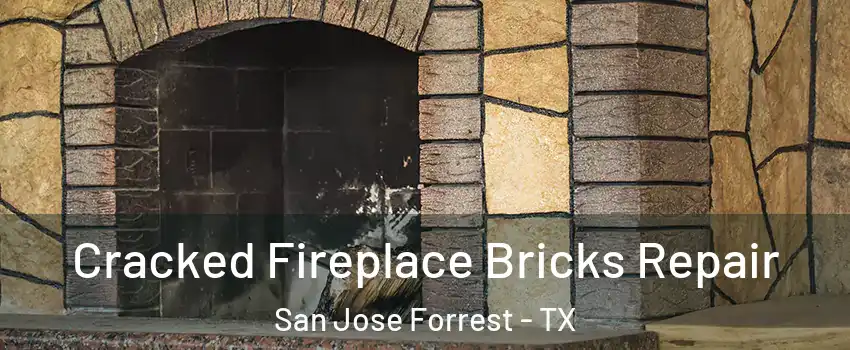 Cracked Fireplace Bricks Repair San Jose Forrest - TX