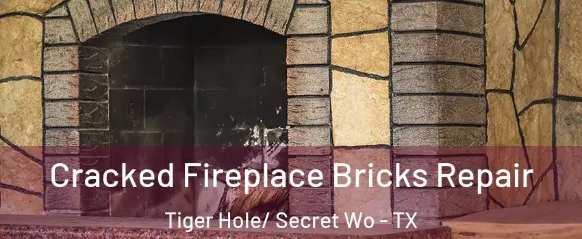 Cracked Fireplace Bricks Repair Tiger Hole/ Secret Wo - TX
