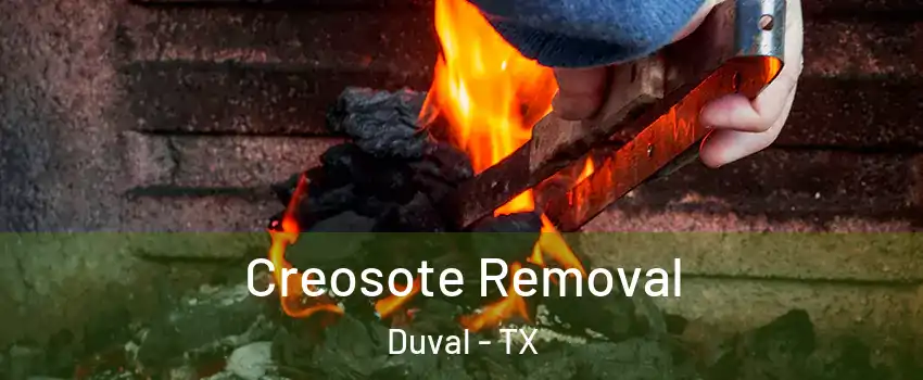 Creosote Removal Duval - TX
