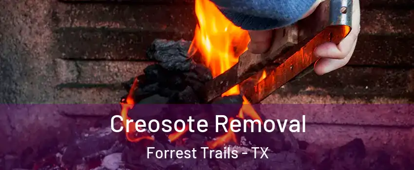 Creosote Removal Forrest Trails - TX