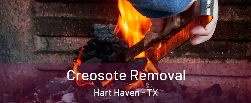 Creosote Removal Hart Haven - TX