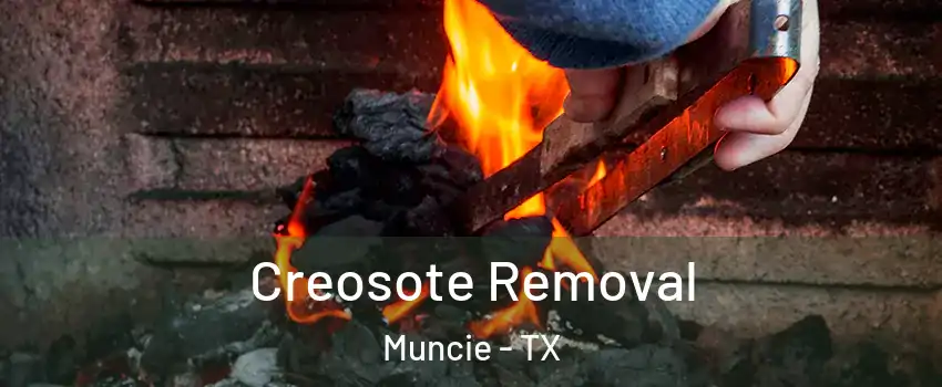Creosote Removal Muncie - TX